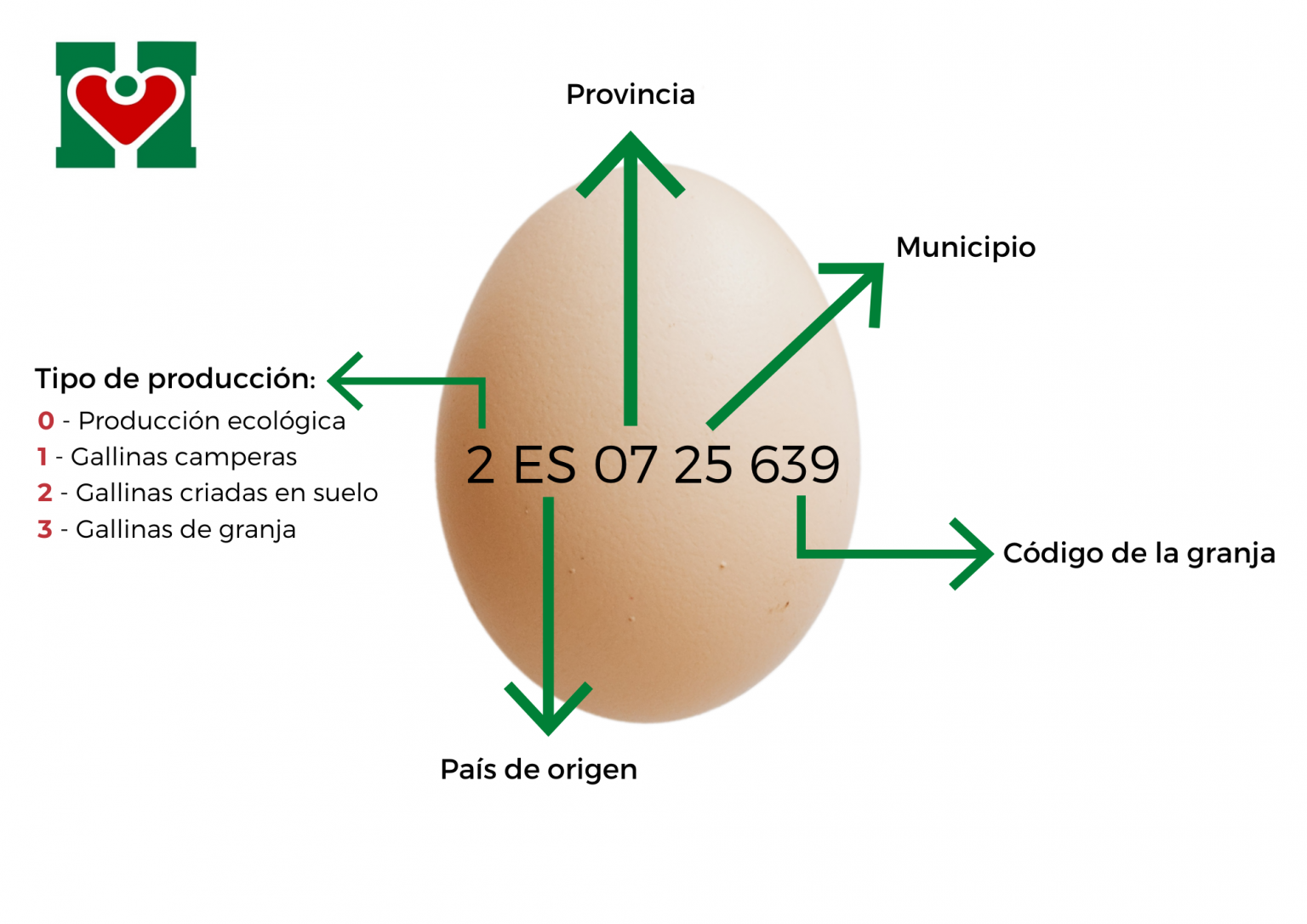 ¿Qué Significa La Numeración De Los Huevos? - Hiper Centro